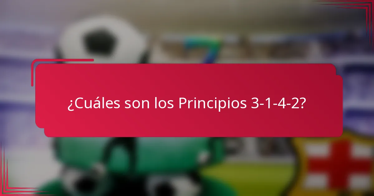 ¿Cuáles son los Principios 3-1-4-2?