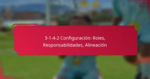 Read more about the article 3-1-4-2 Configuración: Roles, Responsabilidades, Alineación