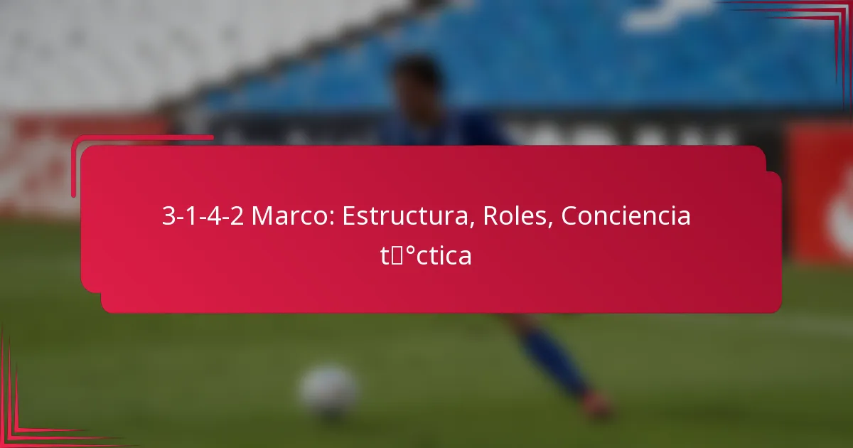 Read more about the article 3-1-4-2 Marco: Estructura, Roles, Conciencia táctica