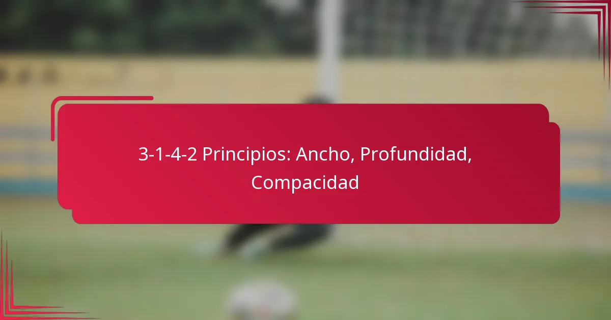 Read more about the article 3-1-4-2 Principios: Ancho, Profundidad, Compacidad